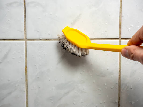 Best Mold Removal Company Near Me  in Milwaukee, WI