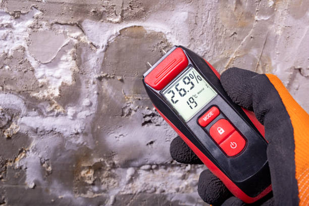 Best Local Mold Removal Service  in Milwaukee, WI
