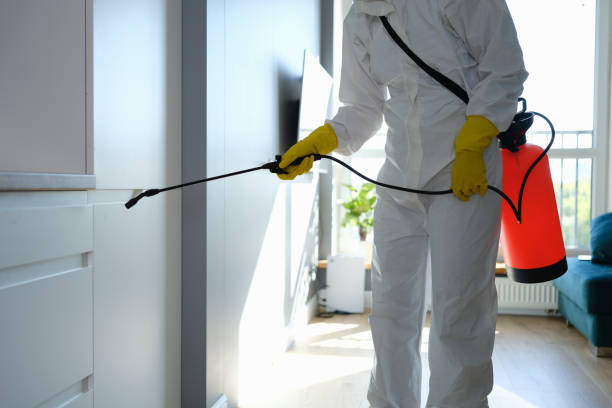 Best Toxic Mold Removal  in Milwaukee, WI