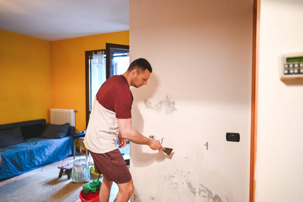 Best Residential Mold Removal  in Milwaukee, WI