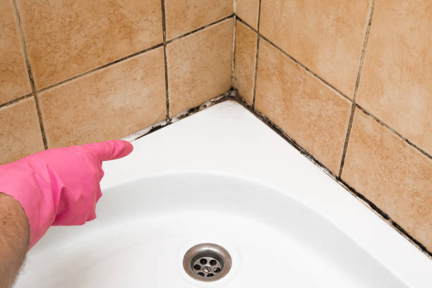 Best Mold Testing  in Milwaukee, WI